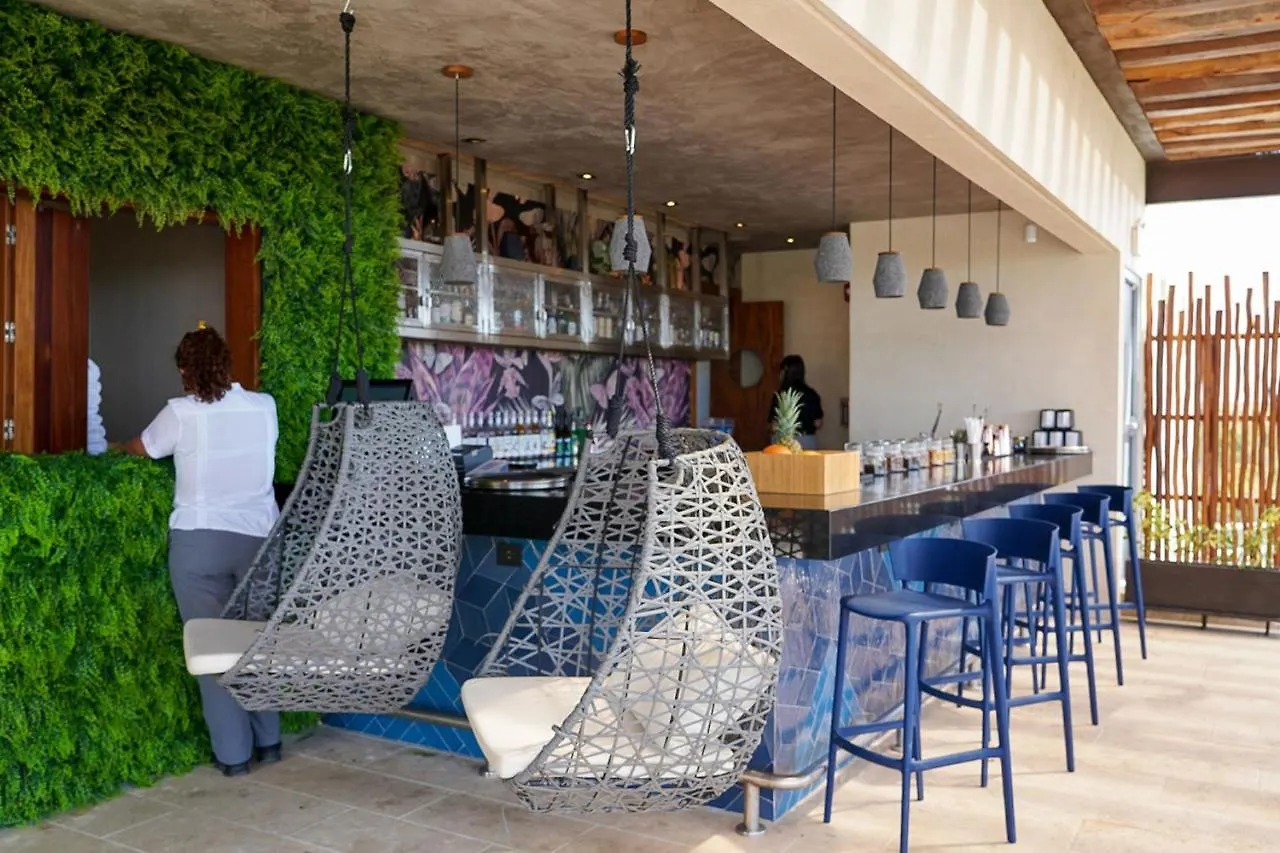 酒店 Aloft Tulum酒店